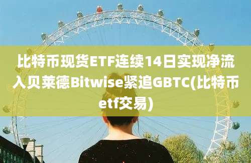 比特币现货ETF连续14日实现净流入贝莱德Bitwise紧追GBTC(比特币etf交易)