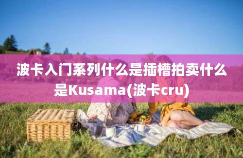 波卡入门系列什么是插槽拍卖什么是Kusama(波卡cru)