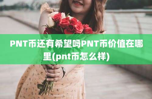 PNT币还有希望吗PNT币价值在哪里(pnt币怎么样)