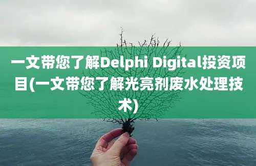 一文带您了解Delphi Digital投资项目(一文带您了解光亮剂废水处理技术)