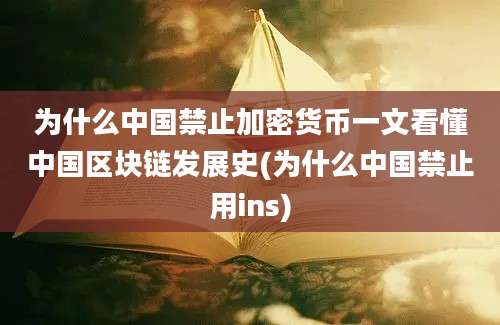 为什么中国禁止加密货币一文看懂中国区块链发展史(为什么中国禁止用ins)