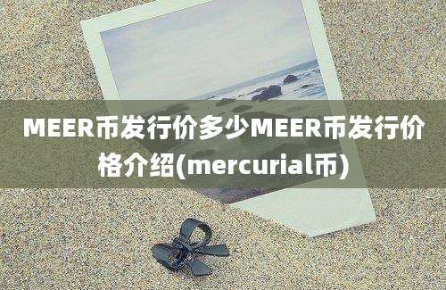 MEER币发行价多少MEER币发行价格介绍(mercurial币)