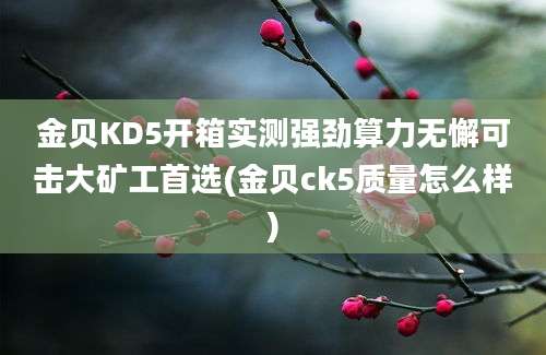 金贝KD5开箱实测强劲算力无懈可击大矿工首选(金贝ck5质量怎么样)