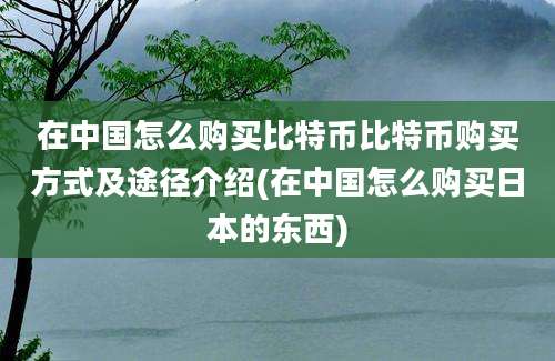 在中国怎么购买比特币比特币购买方式及途径介绍(在中国怎么购买日本的东西)