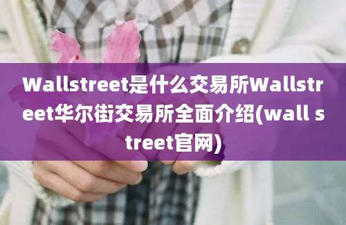 Wallstreet是什么交易所Wallstreet华尔街交易所全面介绍(wall street官网)