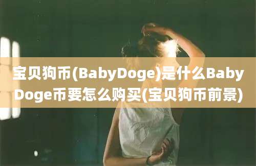 宝贝狗币(BabyDoge)是什么BabyDoge币要怎么购买(宝贝狗币前景)