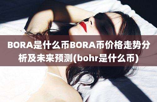 BORA是什么币BORA币价格走势分析及未来预测(bohr是什么币)