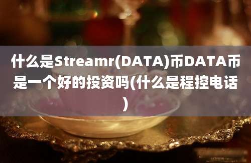 什么是Streamr(DATA)币DATA币是一个好的投资吗(什么是程控电话)