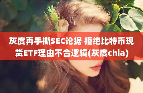 灰度再手撕SEC论据 拒绝比特币现货ETF理由不合逻辑(灰度chia)