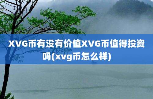 XVG币有没有价值XVG币值得投资吗(xvg币怎么样)