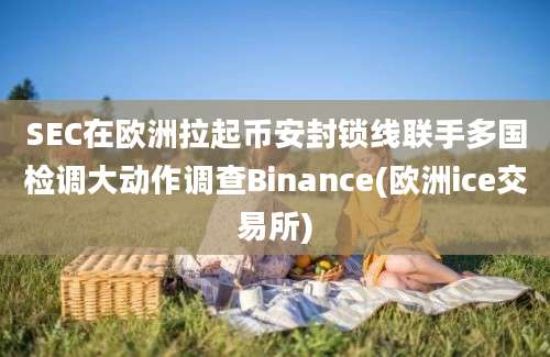 SEC在欧洲拉起币安封锁线联手多国检调大动作调查Binance(欧洲ice交易所)