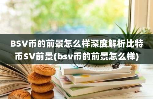 BSV币的前景怎么样深度解析比特币SV前景(bsv币的前景怎么样)