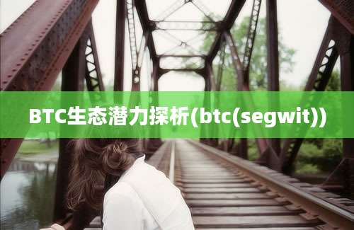 BTC生态潜力探析(btc(segwit))