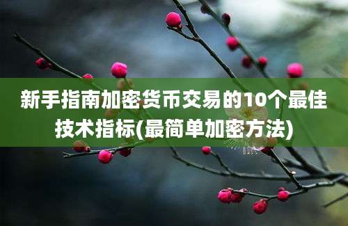 新手指南加密货币交易的10个最佳技术指标(最简单加密方法)