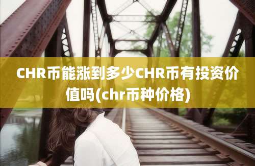 CHR币能涨到多少CHR币有投资价值吗(chr币种价格)