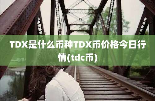 TDX是什么币种TDX币价格今日行情(tdc币)