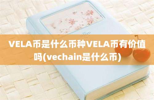 VELA币是什么币种VELA币有价值吗(vechain是什么币)