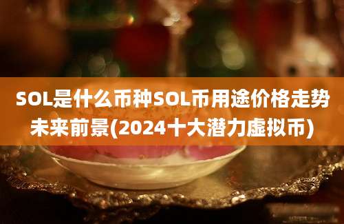 SOL是什么币种SOL币用途价格走势未来前景(2024十大潜力虚拟币)