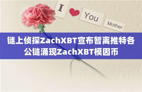 链上侦探ZachXBT宣布暂离推特各公链涌现ZachXBT模因币