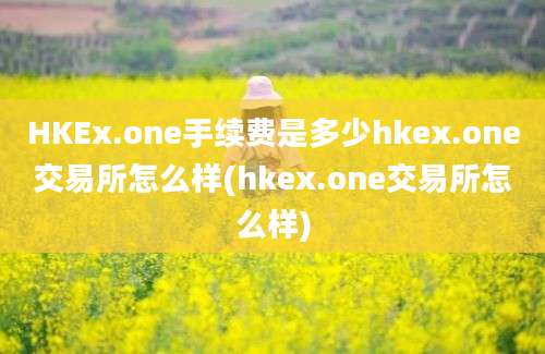 HKEx.one手续费是多少hkex.one交易所怎么样(hkex.one交易所怎么样)