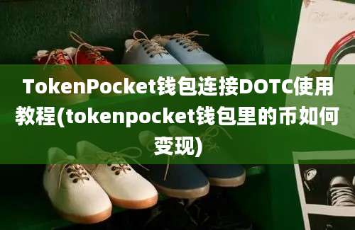 TokenPocket钱包连接DOTC使用教程(tokenpocket钱包里的币如何变现)