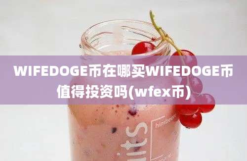 WIFEDOGE币在哪买WIFEDOGE币值得投资吗(wfex币)