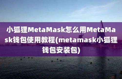 小狐狸MetaMask怎么用MetaMask钱包使用教程(metamask小狐狸钱包安装包)