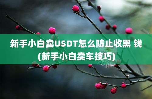 新手小白卖USDT怎么防止收黑 钱(新手小白卖车技巧)