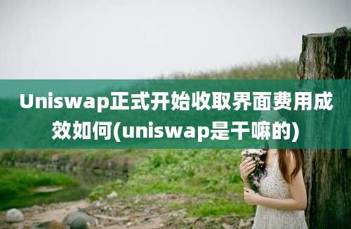 Uniswap正式开始收取界面费用成效如何(uniswap是干嘛的)