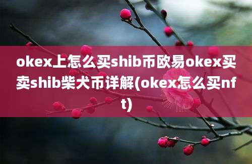 okex上怎么买shib币欧易okex买卖shib柴犬币详解(okex怎么买nft)