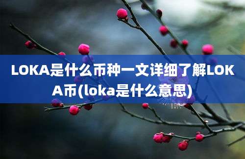 LOKA是什么币种一文详细了解LOKA币(loka是什么意思)