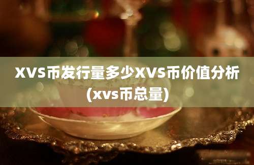 XVS币发行量多少XVS币价值分析(xvs币总量)