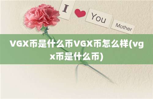 VGX币是什么币VGX币怎么样(vgx币是什么币)