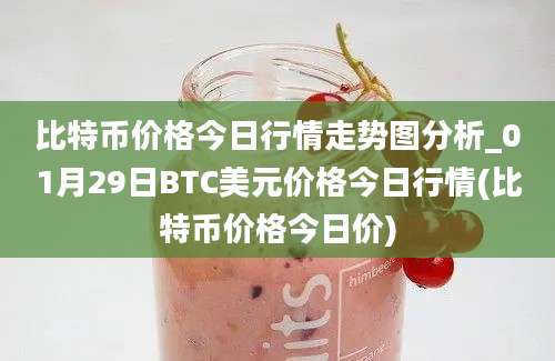 比特币价格今日行情走势图分析_01月29日BTC美元价格今日行情(比特币价格今日价)