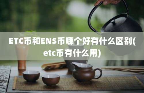 ETC币和ENS币哪个好有什么区别(etc币有什么用)