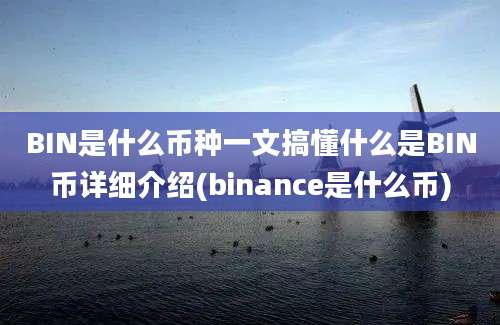 BIN是什么币种一文搞懂什么是BIN币详细介绍(binance是什么币)