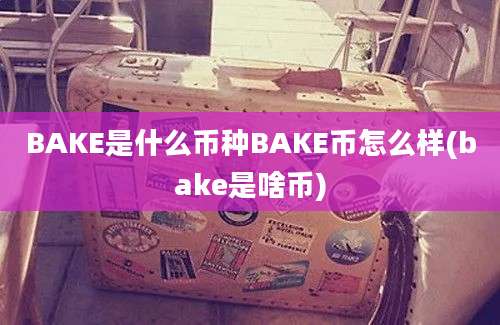 BAKE是什么币种BAKE币怎么样(bake是啥币)