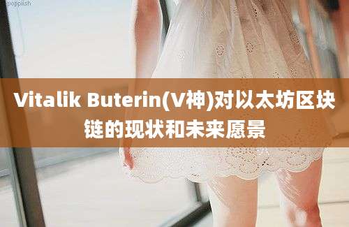 Vitalik Buterin(V神)对以太坊区块链的现状和未来愿景