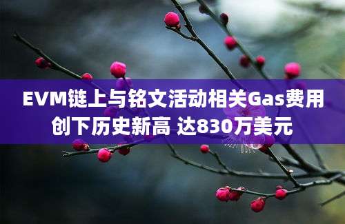 EVM链上与铭文活动相关Gas费用创下历史新高 达830万美元