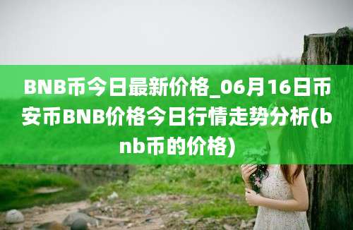 BNB币今日最新价格_06月16日币安币BNB价格今日行情走势分析(bnb币的价格)