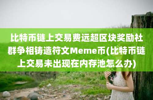 比特币链上交易费远超区块奖励社群争相铸造符文Meme币(比特币链上交易未出现在内存池怎么办)