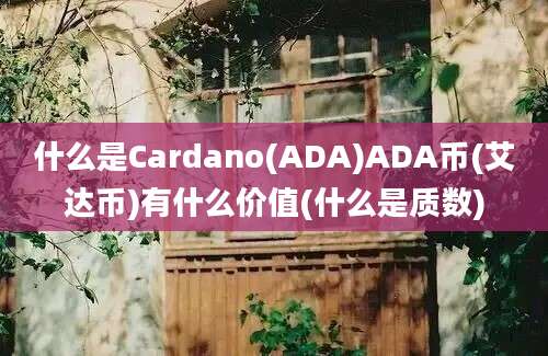 什么是Cardano(ADA)ADA币(艾达币)有什么价值(什么是质数)