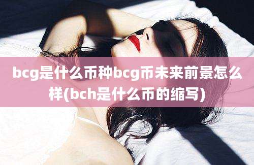 bcg是什么币种bcg币未来前景怎么样(bch是什么币的缩写)