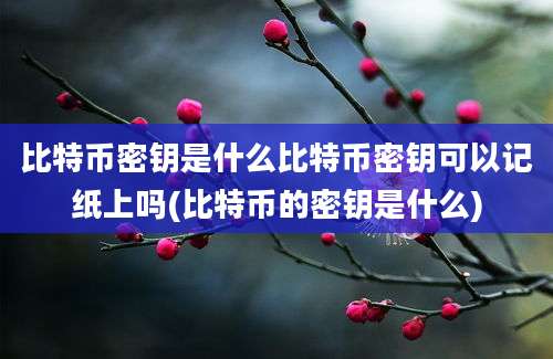 比特币密钥是什么比特币密钥可以记纸上吗(比特币的密钥是什么)