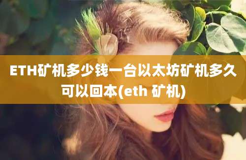 ETH矿机多少钱一台以太坊矿机多久可以回本(eth 矿机)