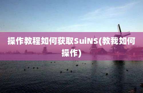 操作教程如何获取SuiNS(教我如何操作)