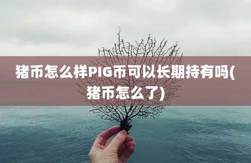 猪币怎么样PIG币可以长期持有吗(猪币怎么了)