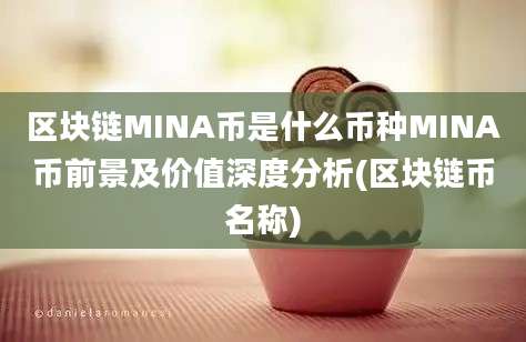 区块链MINA币是什么币种MINA币前景及价值深度分析(区块链币名称)