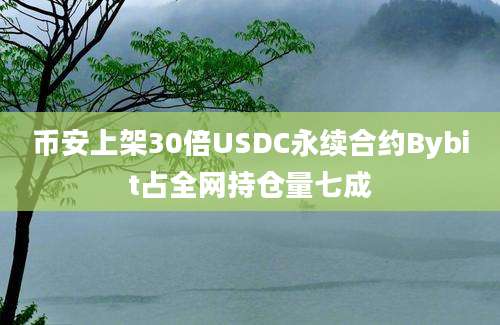 币安上架30倍USDC永续合约Bybit占全网持仓量七成