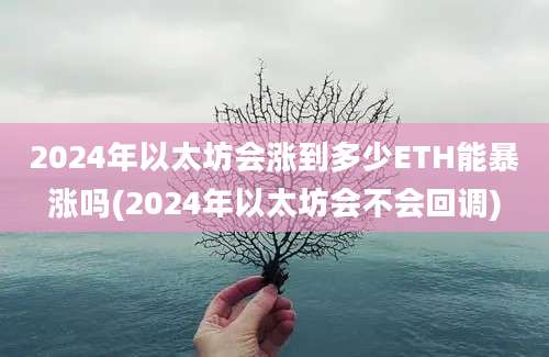 2024年以太坊会涨到多少ETH能暴涨吗(2024年以太坊会不会回调)